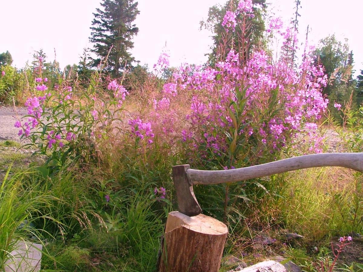 Whispering Woods Ak Cabins Kasilof Екстериор снимка